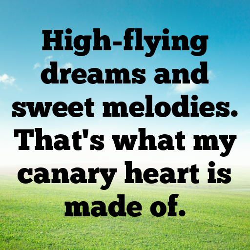 192+ Canary Captions For Instagram In 2025 3 Canary Captions Image For Instagram In 2025-34cXEy