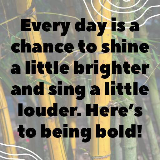 192+ Canary Captions For Instagram In 2025 8 Canary Captions Image For Instagram In 2025-7j0btS