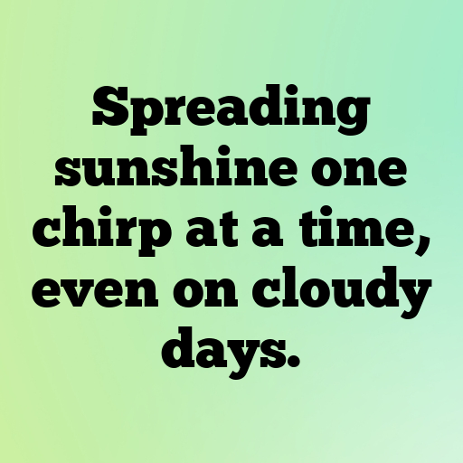 192+ Canary Captions For Instagram In 2025 4 Canary Captions Image For Instagram In 2025-nnyRyM