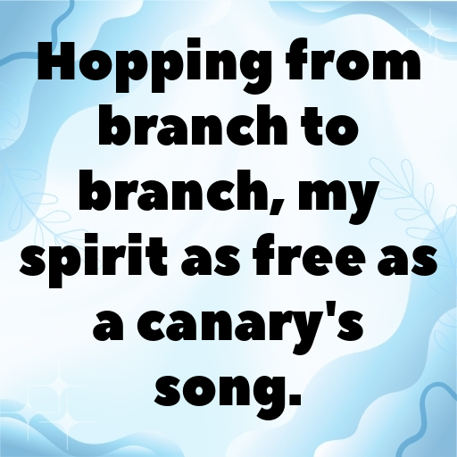 192+ Canary Captions For Instagram In 2025 7 Canary Captions Photo For Instagram In 2025-BIsOOU