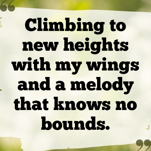 192+ Canary Captions For Instagram In 2025 6 Canary Captions Photo For Instagram In 2025-kPWOG0