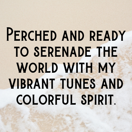 192+ Canary Captions For Instagram In 2025 9 Canary Captions Photo For Instagram In 2025-QICDAd