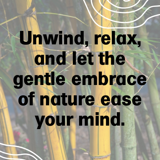 Canna Captions Image For Instagram In [2025]-OFf9iX