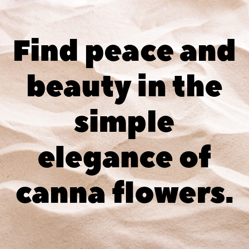 Canna Captions Photo For Instagram In [2025]-wM7nc1