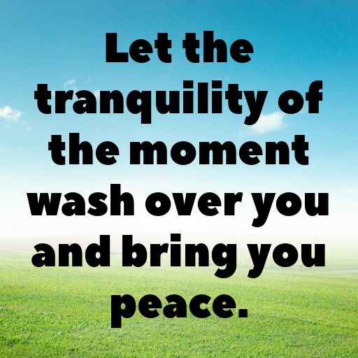 Canna Captions Photo For Instagram In [2025]-yAVjln