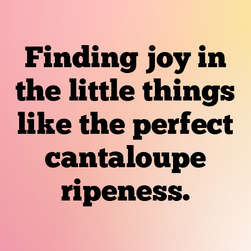 167+ Cantaloupe Captions For Instagram In 2025 9 Cantaloupe Captions Image For Instagram In 2025-015sJ9