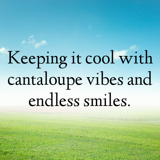 167+ Cantaloupe Captions For Instagram In 2025 7 Cantaloupe Captions Image For Instagram In 2025-OyWOT2