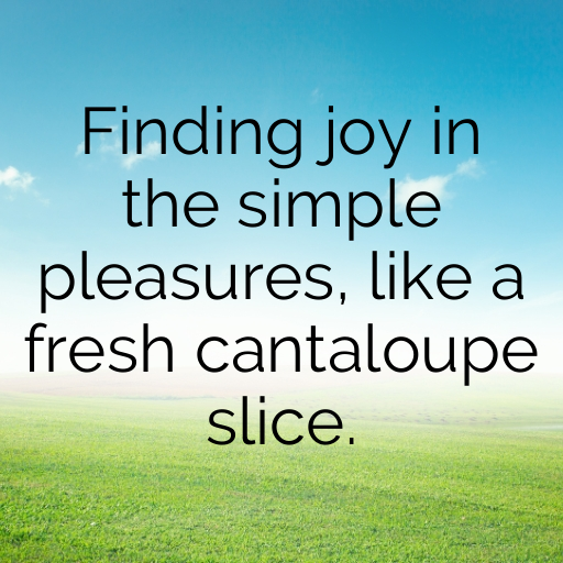 167+ Cantaloupe Captions For Instagram In 2025 3 Cantaloupe Captions Image For Instagram In 2025-wUOqcm