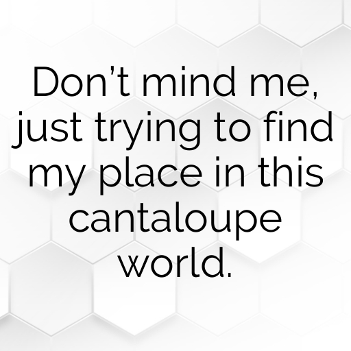 167+ Cantaloupe Captions For Instagram In 2025 4 Cantaloupe Captions Photo For Instagram In 2025-H9ttVo