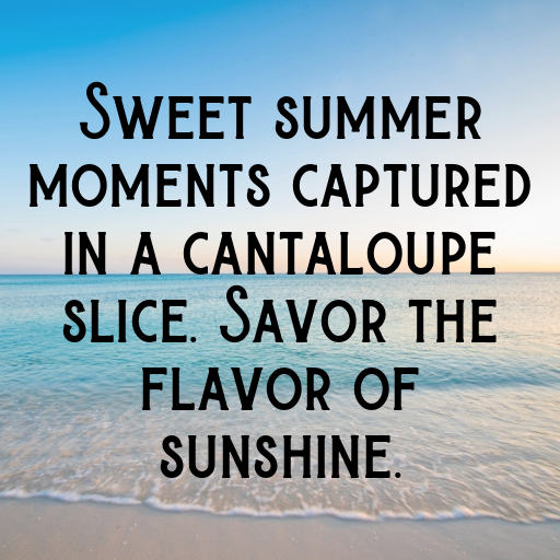 167+ Cantaloupe Captions For Instagram In 2025 5 Cantaloupe Captions Photo For Instagram In 2025-nWTyCL