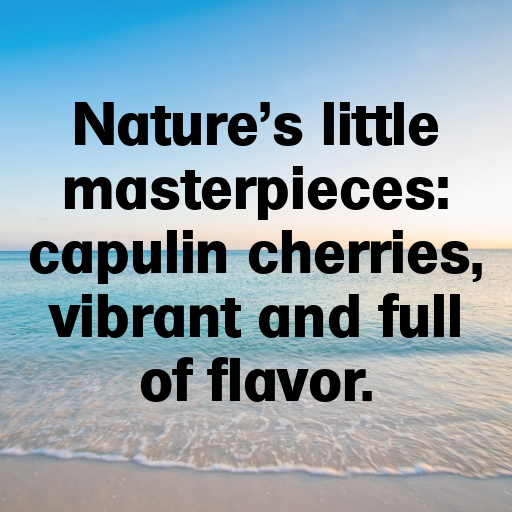 Capulin Cherry Captions Photo For Instagram In [2025]-7DQqxF