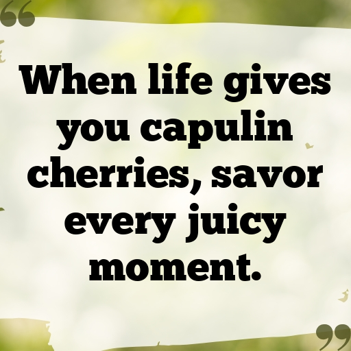 Capulin Cherry Captions Photo For Instagram In [2025]-EUWjrT