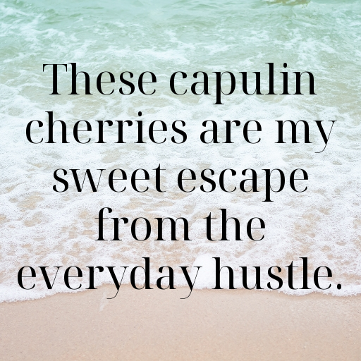 Capulin Cherry Captions Photo For Instagram In [2025]-xy2Zkr