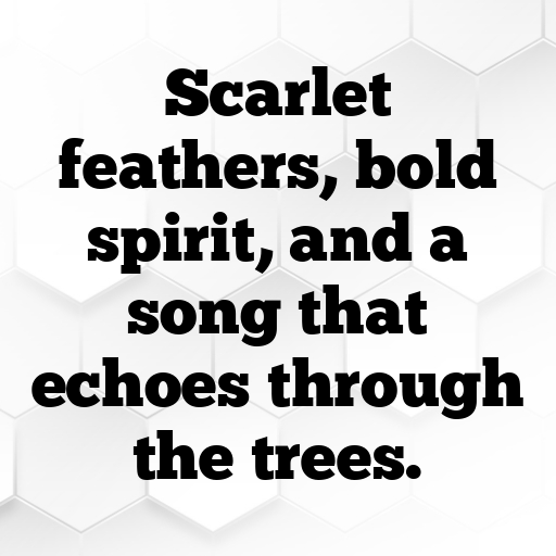 Cardinal Captions Photo For Instagram In (2025)-5NR5xQ