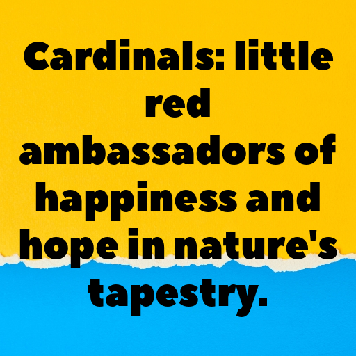 Cardinal Captions Photo For Instagram In (2025)-BUw1Wu