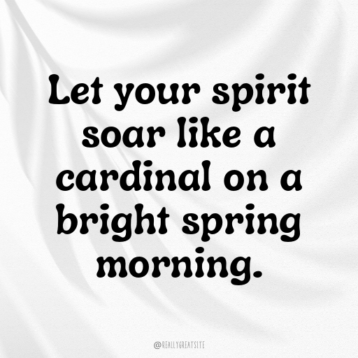 Cardinal Captions Photo For Instagram In (2025)-nyqj2G