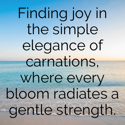 186+ Carnation Captions For Instagram In (2025) 8 Carnation Captions Image For Instagram In (2025)-oxINww