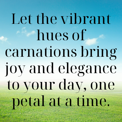 186+ Carnation Captions For Instagram In (2025) 10 Carnation Captions Image For Instagram In (2025)-sI3rJX