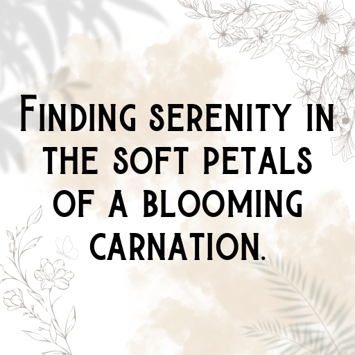 186+ Carnation Captions For Instagram In (2025) 3 Carnation Captions Photo For Instagram In (2025)-IHqXfW