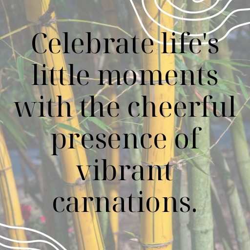 186+ Carnation Captions For Instagram In (2025) 6 Carnation Captions Photo For Instagram In (2025)-LwfEAP