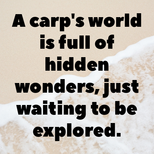 Carp Captions Image For Instagram In [2025]-h1tinn