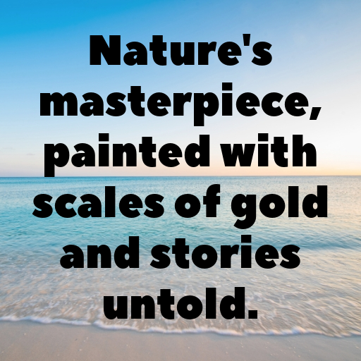 Carp Captions Photo For Instagram In [2025]-AokaEN