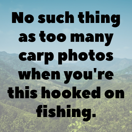 Carp Captions Photo For Instagram In [2025]-MbgLJA