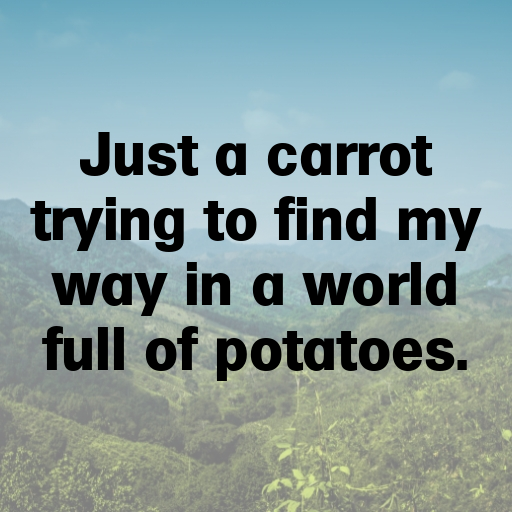 Carrot Captions Image For Instagram In (2025)-olWBXo