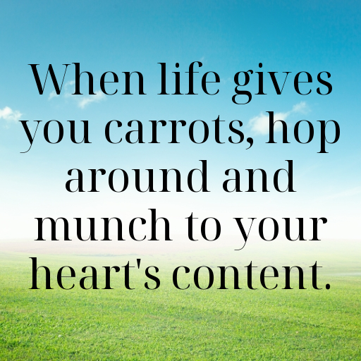 Carrot Captions Image For Instagram In (2025)-yKTU4L