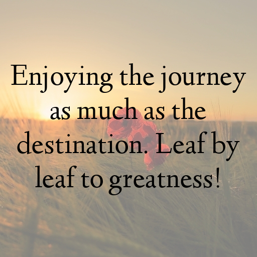 Caterpillar Captions Image For Instagram In (2025)-Ua5eKj