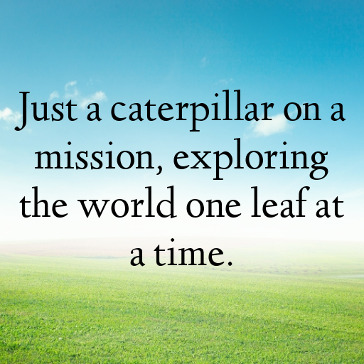 Caterpillar Captions Photo For Instagram In (2025)-SgB3ZN