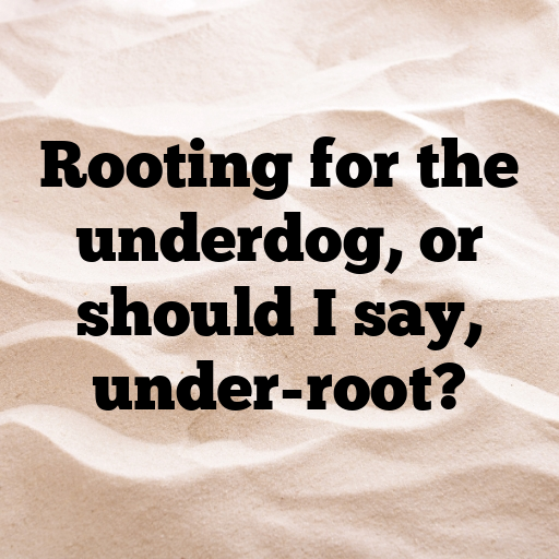 194+ Celeriac Captions For Instagram In 2025 4 Celeriac Captions Image For Instagram In 2025-JZc73b