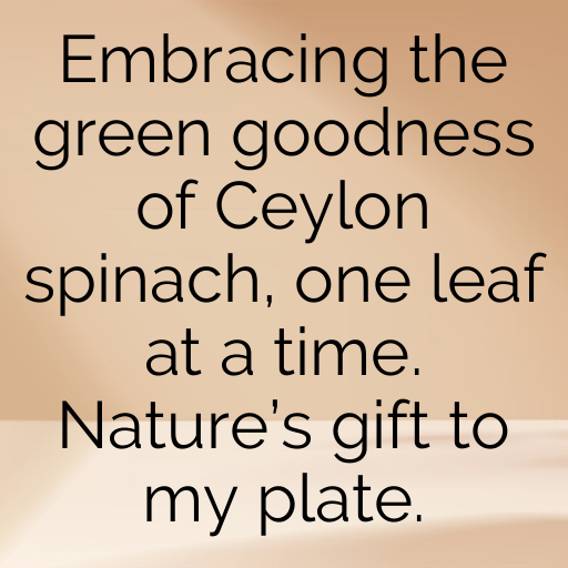 Ceylon Spinach Captions Image For Instagram In 2025-DFOS1K