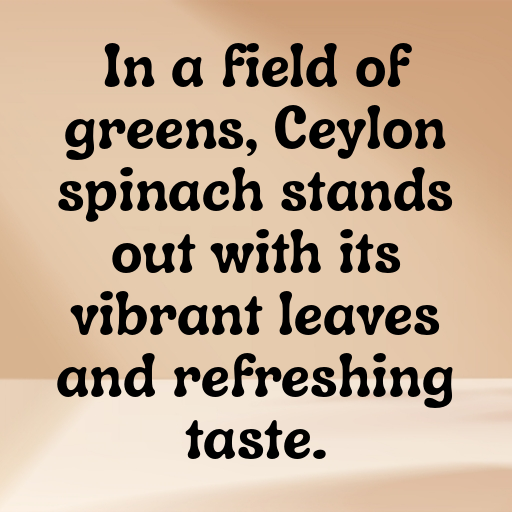 Ceylon Spinach Captions Image For Instagram In 2025-z1E8Ia
