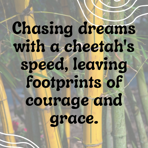 Cheetah Captions Image For Instagram In (2025)-2McZ0r