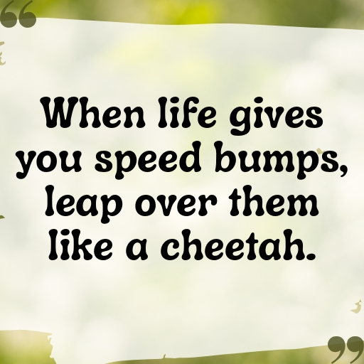 Cheetah Captions Image For Instagram In (2025)-QQRGJz