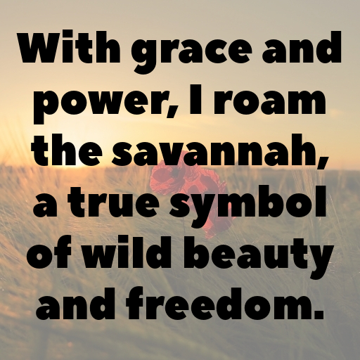 Cheetah Captions Photo For Instagram In (2025)-JTbvr5