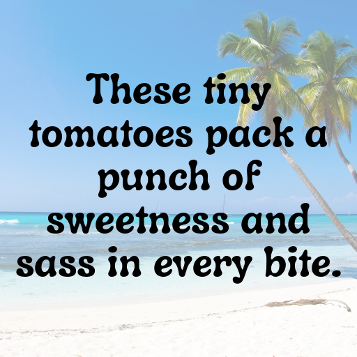 171+ Cherry Tomato Captions For Instagram In 2025 7 Cherry Tomato Captions Image For Instagram In 2025-HfNdwH