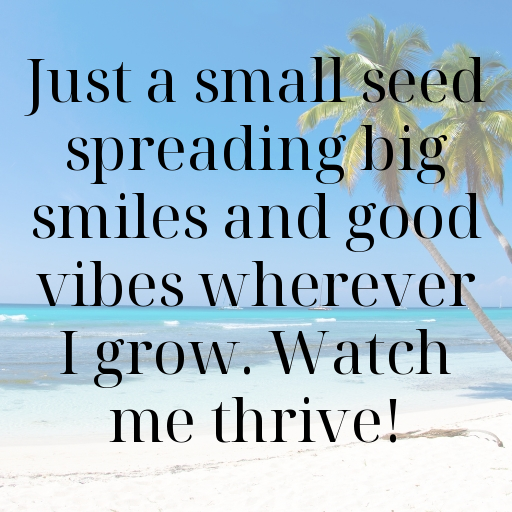 Chia Captions Image For Instagram In [2025]-DQ56OQ