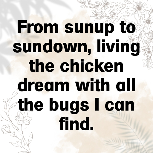 Chicken Captions Image For Instagram In 2025-GbSY2L