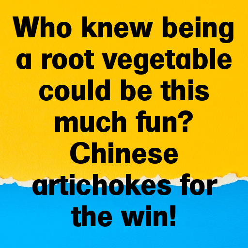 Chinese Artichoke Captions Image For Instagram In [2025]-Y01Eio