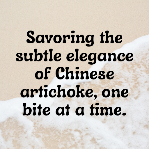 Chinese Artichoke Captions Photo For Instagram In [2025]-onq3qR