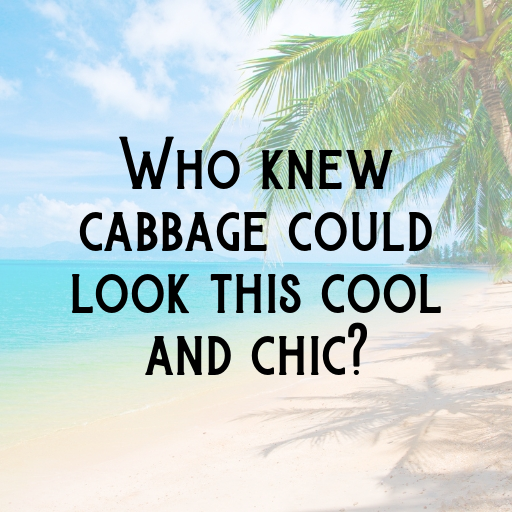 158+ Chinese Cabbage Captions For Instagram In 2025 7 Chinese Cabbage Captions Image For Instagram In 2025-t51BD8