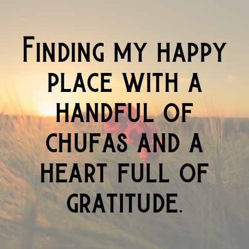 Chufa Captions Image For Instagram In [2025]-rTzykW