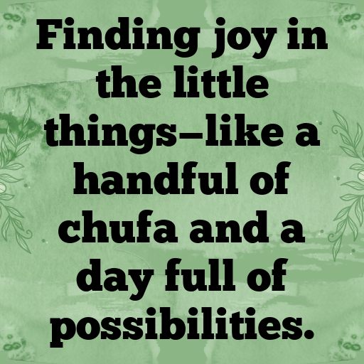 Chufa Captions Image For Instagram In [2025]-UAeFNy