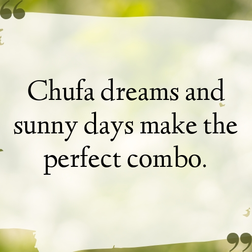 Chufa Captions Photo For Instagram In [2025]-mL5chI