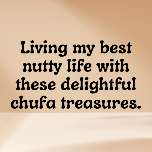 Chufa Captions Photo For Instagram In [2025]-Q5Mrbe