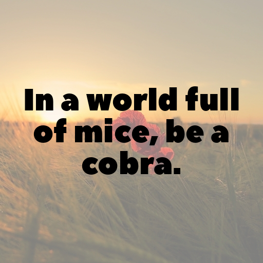 Cobra Captions Image For Instagram In [2025]-l2K3nM