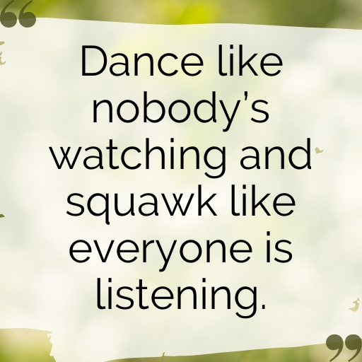 178+ Cockatoo Captions For Instagram In 2025 10 Cockatoo Captions Image For Instagram In 2025-spez8M