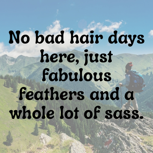 178+ Cockatoo Captions For Instagram In 2025 6 Cockatoo Captions Image For Instagram In 2025-vhgj6N